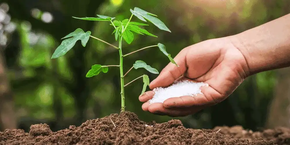 What-are-the-potential-drawbacks-or-risks-associated-with-using-NPK-fertilizers-1